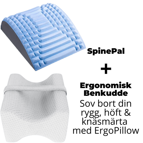 SpinePal - 1 Stck + ErgoPillow 1 stck