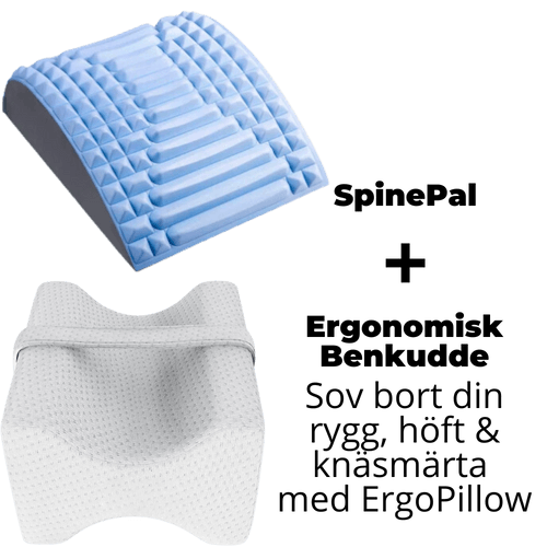 SpinePal -  1 Stck + ErgoPillow 1 stck